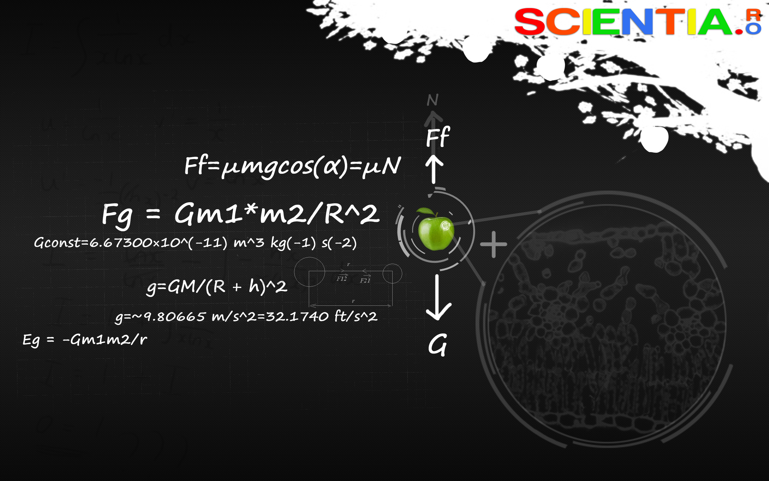 Wallpaper Scientia