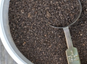 guano de liliac