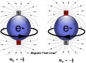 Electron