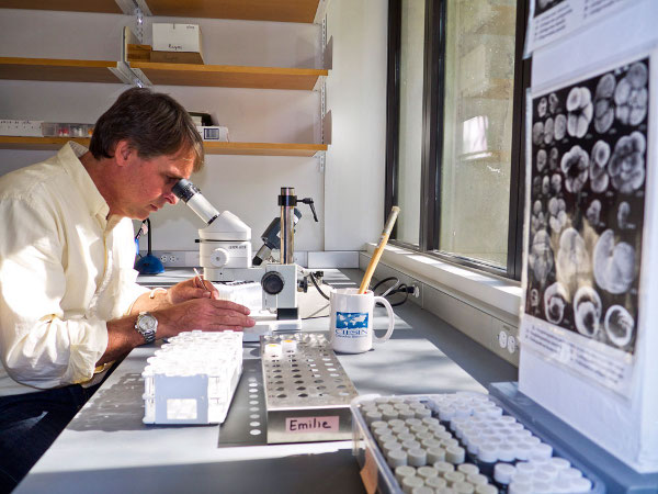 Laborator