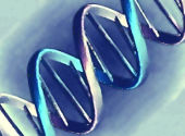 Introducere in genetica