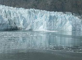 Dezgheţul arctic