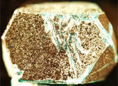 herbertsmithite 