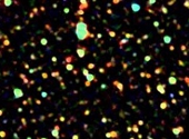 Diversitate galaxii