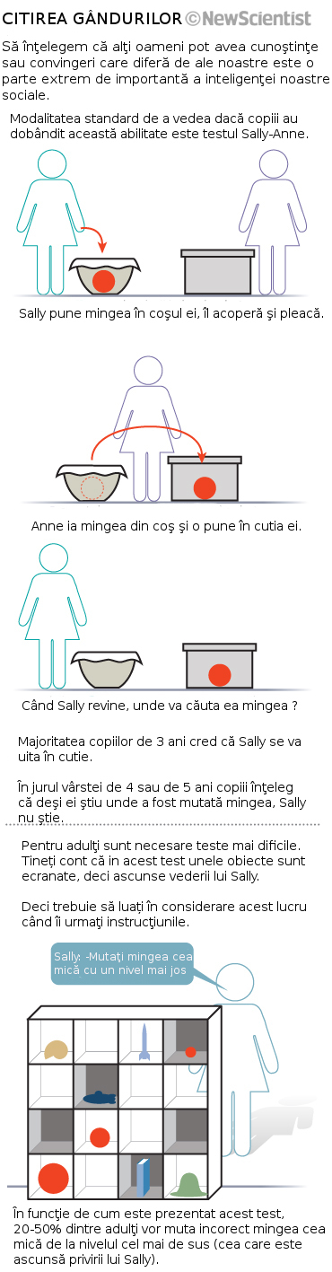 Diagrama articol Diagrama articol