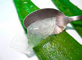 Aloe