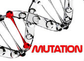 Mutaţie genetică