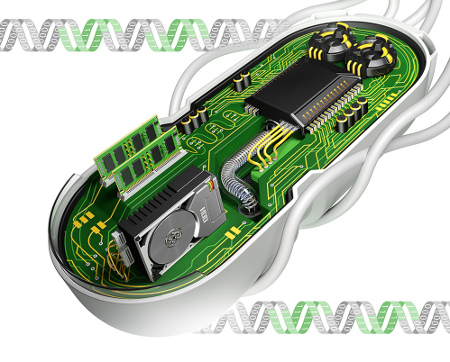 Circuit genetic Circuit genetic