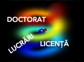 Lucrari de licenta si doctorat