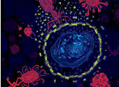 Virus
