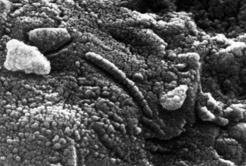 Meteorit martian