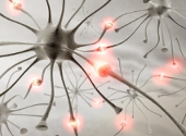Neuroplasticitate