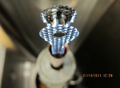 capsula combustibil