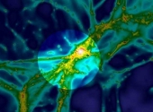 Filamente cosmice