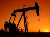 Sonda petrol