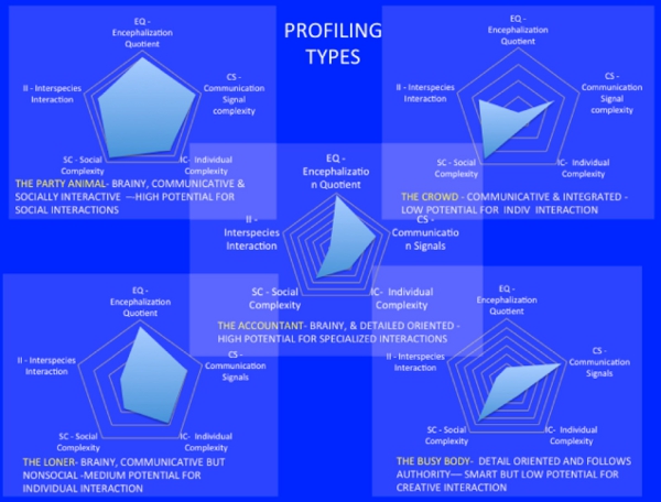 Profile Profile