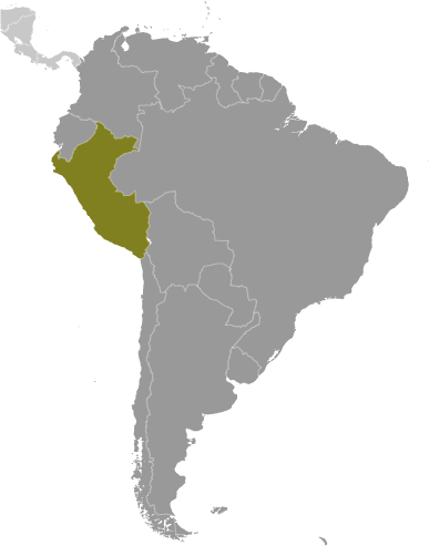 Peru pozitie localizare geografica Peru pozitie localizare geografica