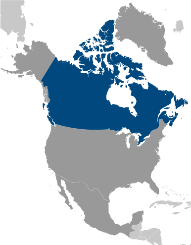 Canada poziţie geografică Canada poziţie geografică