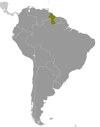Guyana poziţie geografică Guyana poziţie geografică