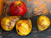 Fructe