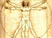 Omul vitruvian