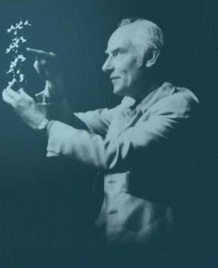 Francis Crick Francis Crick