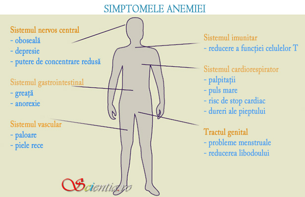 Simptomele anemiei Simptomele anemiei