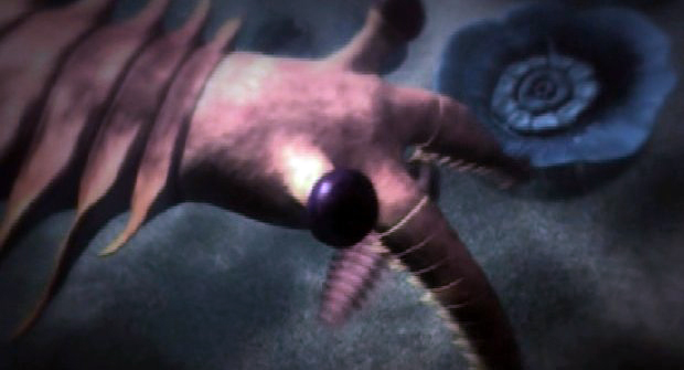 Pradator marin din cambrian Pradator marin din cambrian