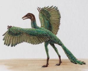 Archaeopteryx