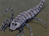 Antropod