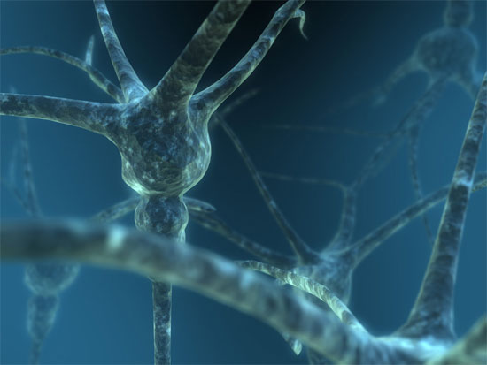 Neuron Neuron