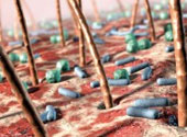 Bacterii de piele