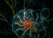 Bosonul Higgs