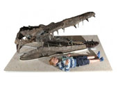 Pliosaur