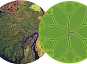 Teoria constructala