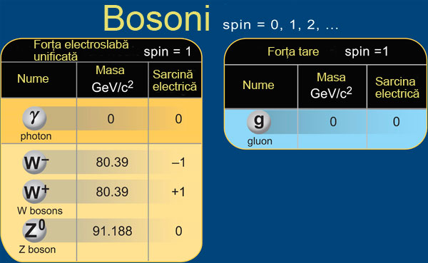 bosoni