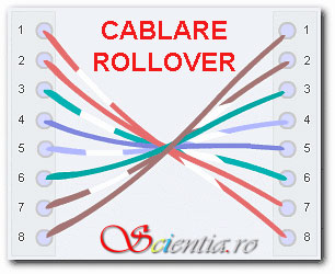 Cablare rollover