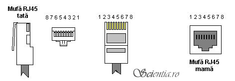 Conectori RJ-45