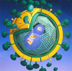 HIV
