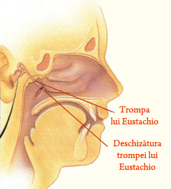 Trompa lui Eustachio
