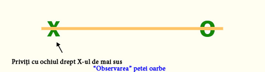 Pata oarbă