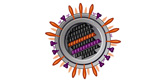 Virus vaccin