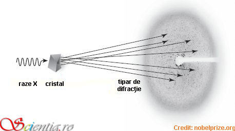 cristalografie cu raze X