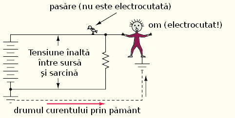 Electrocutare