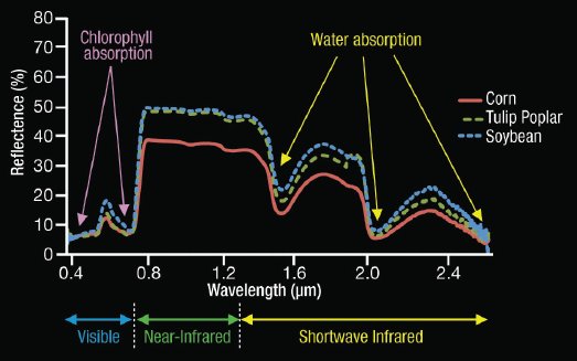 semnaturi spectrale ale vegetatiei semnaturi spectrale ale vegetatiei