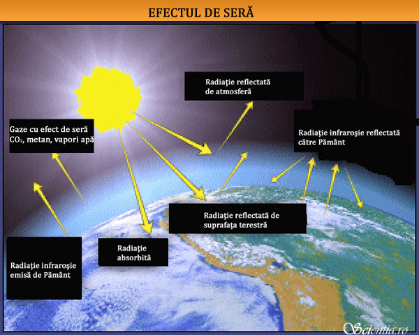 Efect de sera