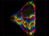 Obiect în patru dimensiuni - reprezentare grafică