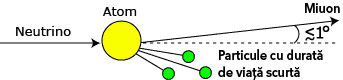 Neutrino Neutrino