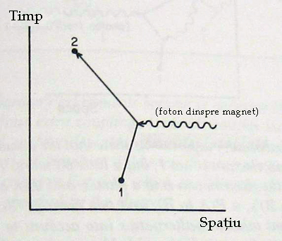 moment_magnetic moment_magnetic