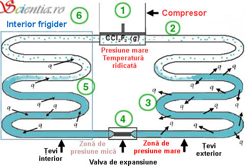 Frigiderul - o perspectivă termodinamică Frigiderul - o perspectivă termodinamică